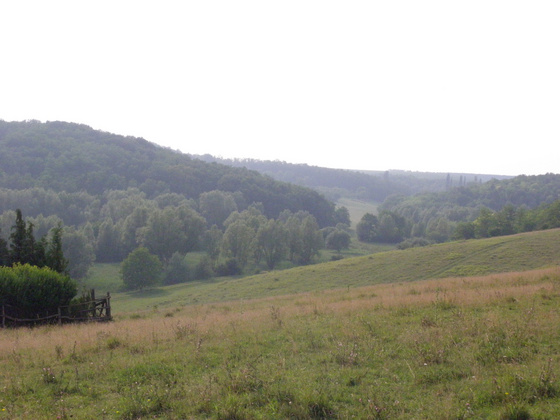 4597259_3cde39bb2fe3f9fe2248e904ddbfed98_m.jpg