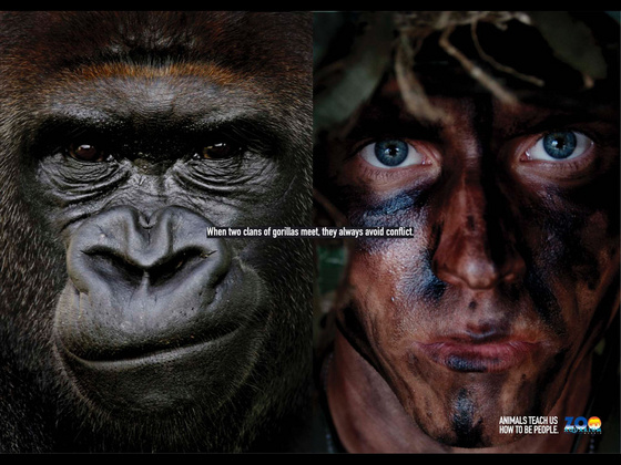reklama: gorilla