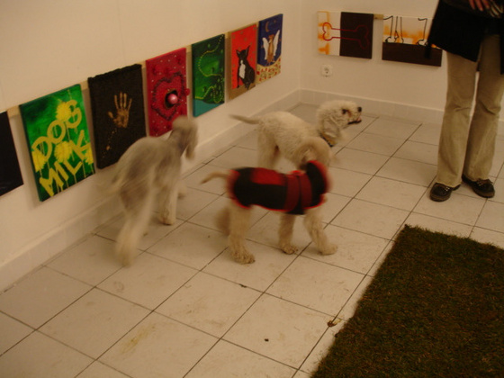 252621_7d8ef07de435caddd3bd73532e5fc4bb_m.jpg