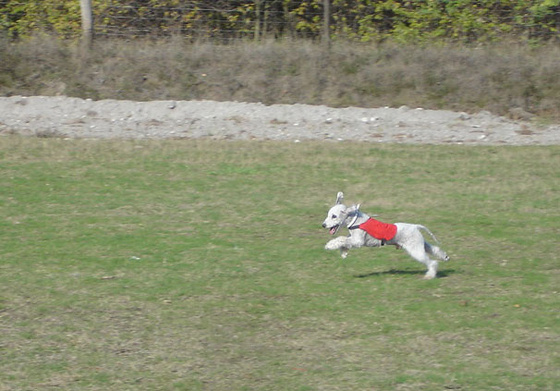 5933119_cbbf799138347104d3d63bbb131168b1_m.jpg
