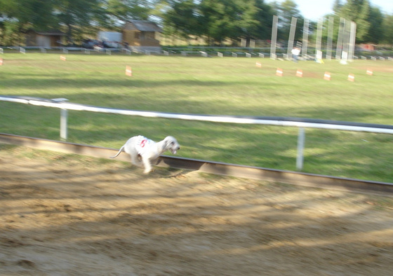 9617261_54eeb6428148f305b72cd86343d66647_m.jpg