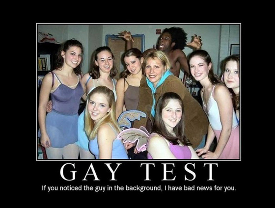 freddyD: gaytest