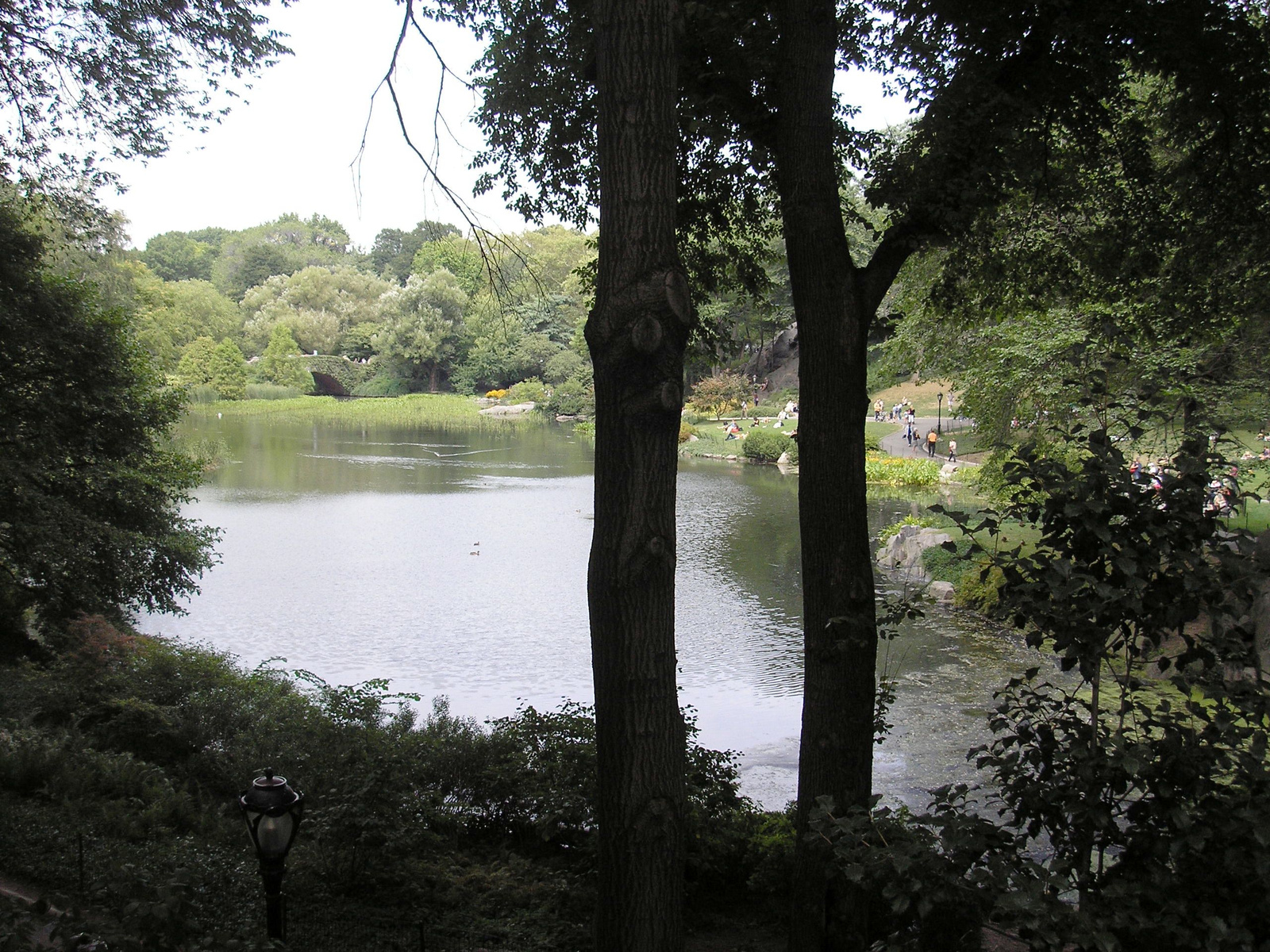 Central Park - New York