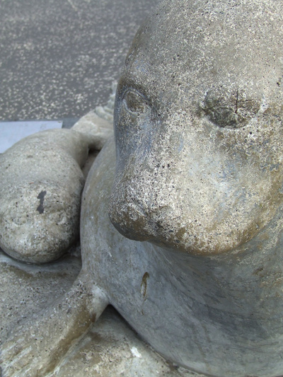 Inchcolm seals