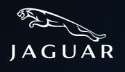 A.Jaguar