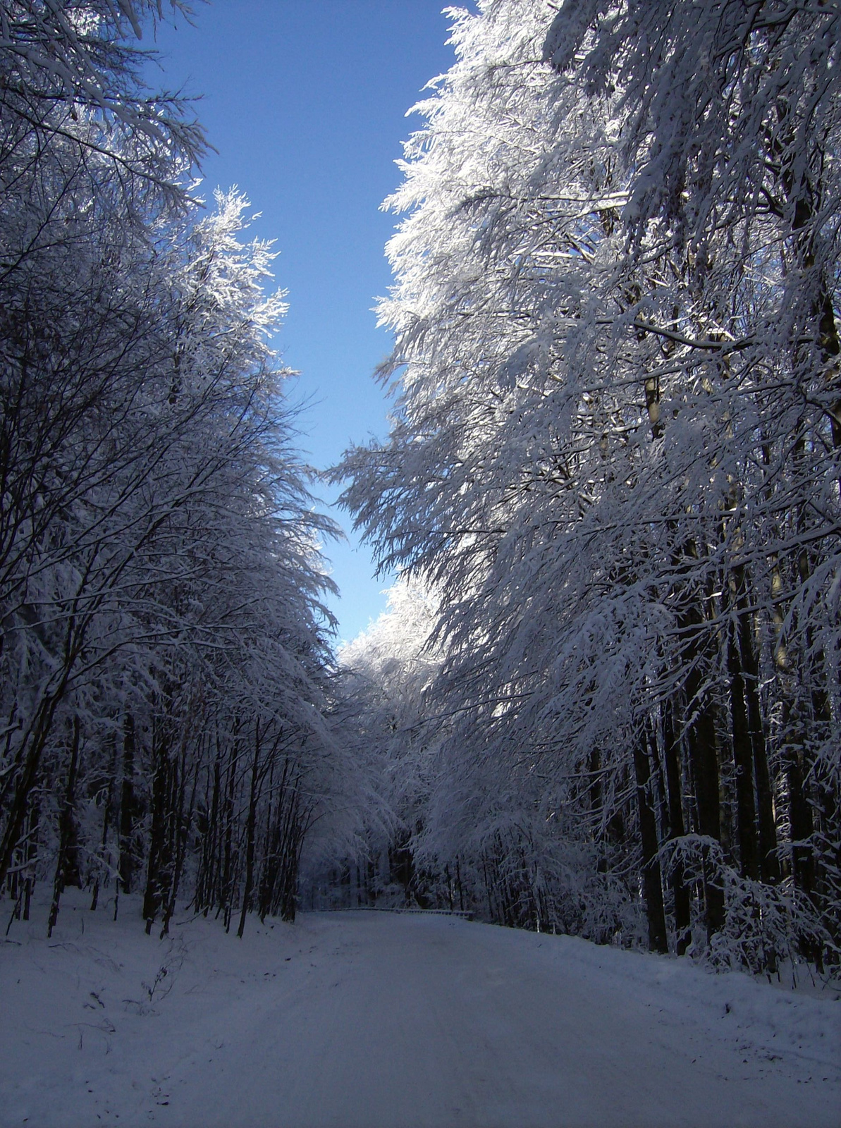 Szent Anna tó fele...(január 2.)