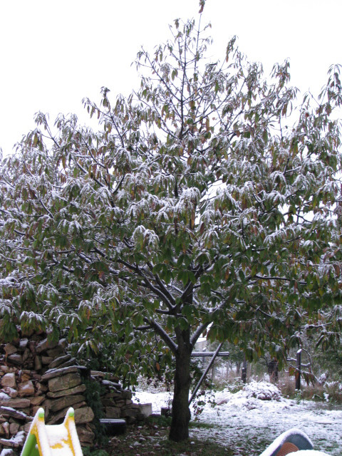 2009 10 15 első hó 007