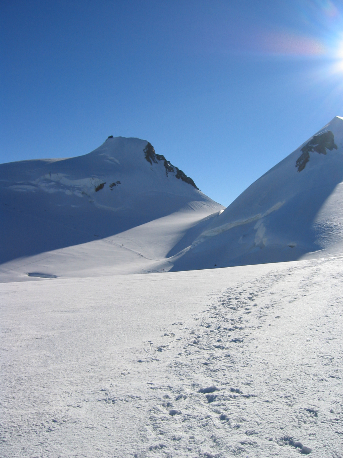 111 1184 - Signalkuppe, Parrotspitze