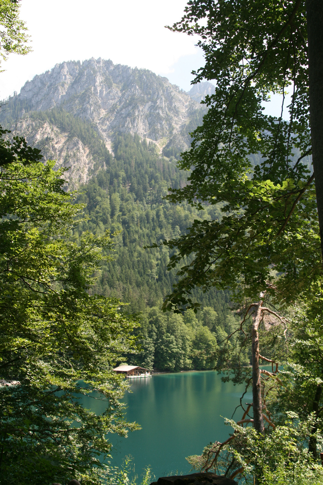 Hohenschwangau