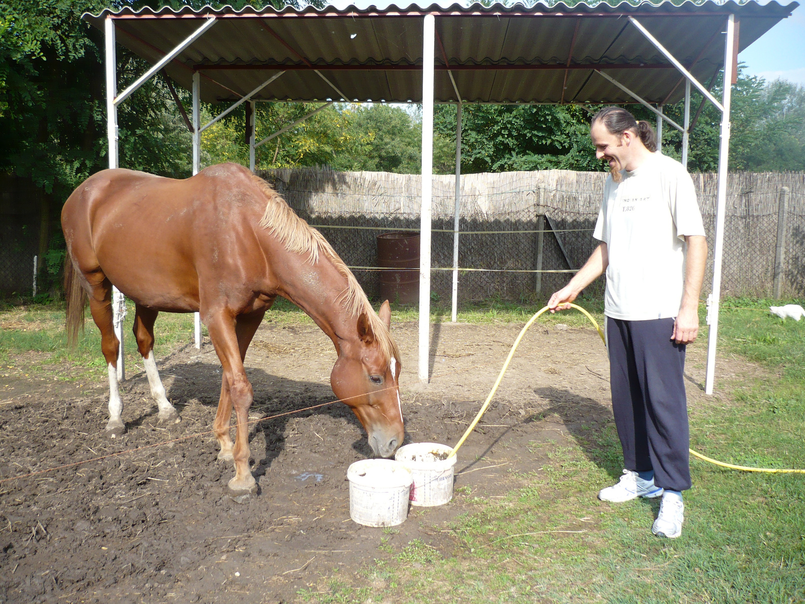 gáspár