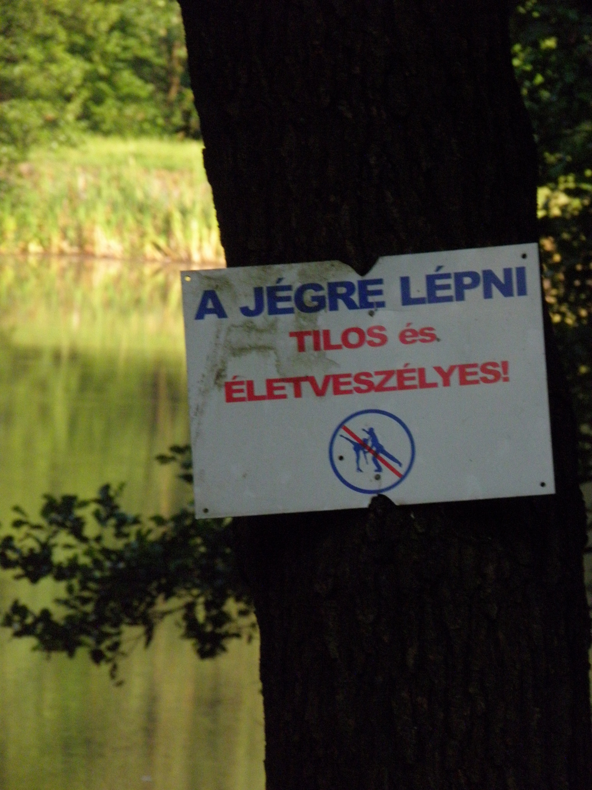 jégre lépni