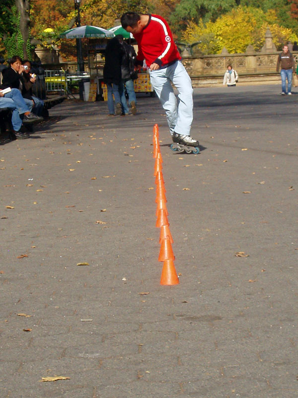 Central Park November