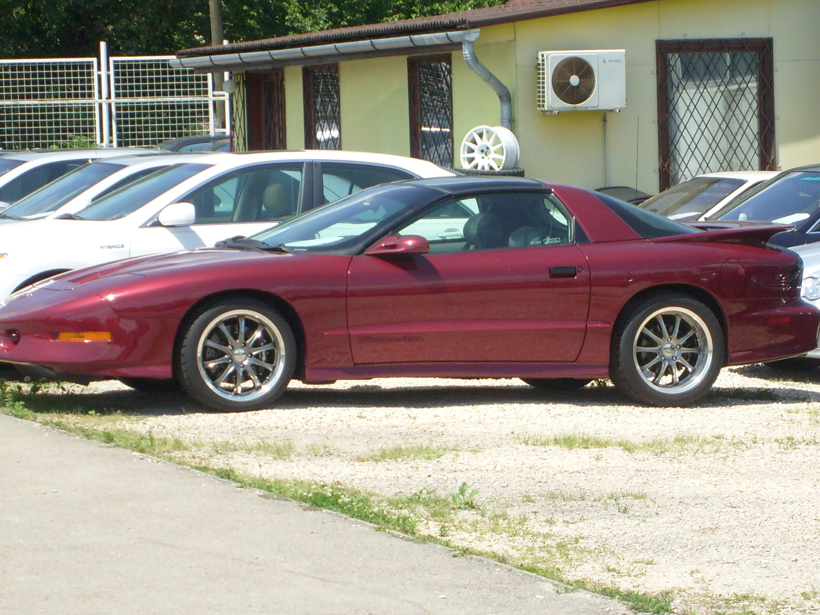 pontiac trans am