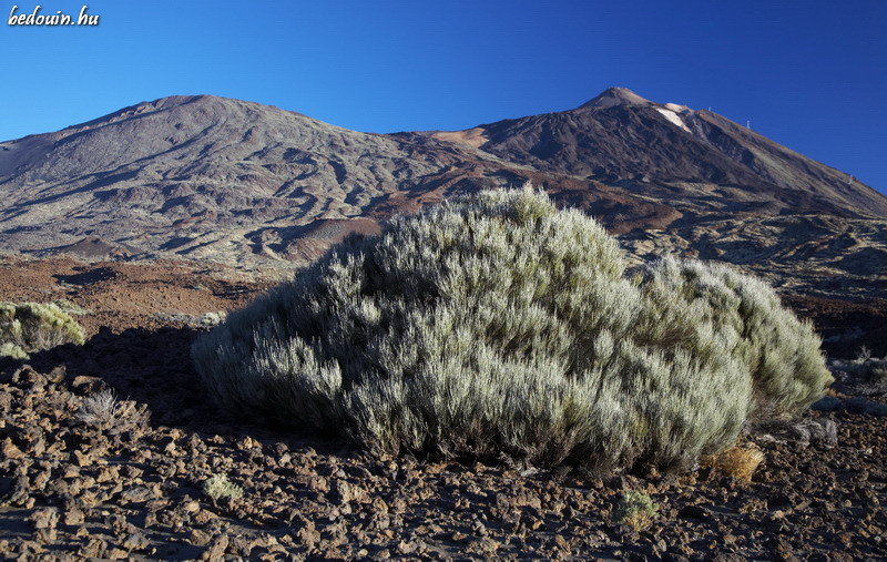 Mountains - Canary Islands, 2006