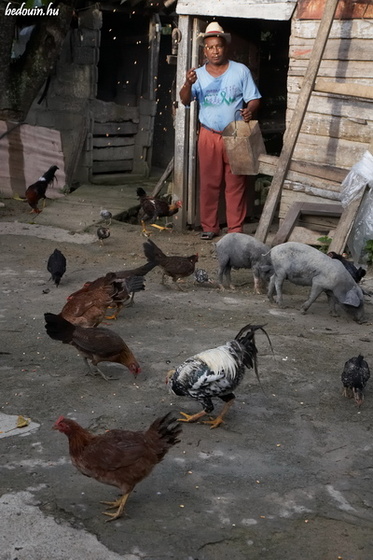 Backyard life - Campos, Cuba, 2007