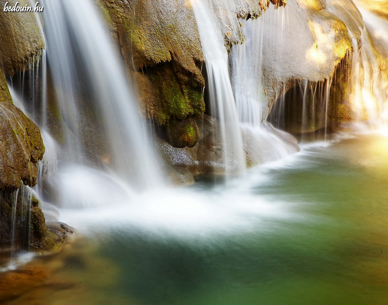 Deep in the jungle - Chiapas, Mexico, 2007