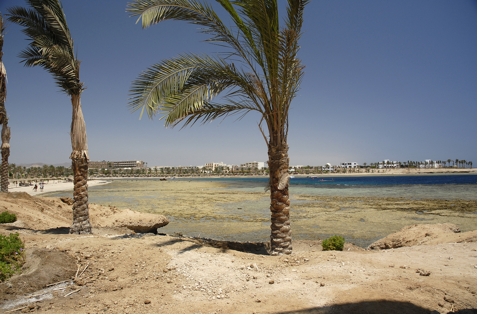 Marsa Alam (300)