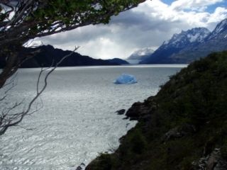 Lago Grey a gleccserrel