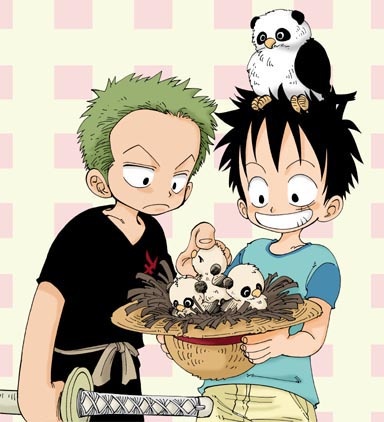 luffy x zoro