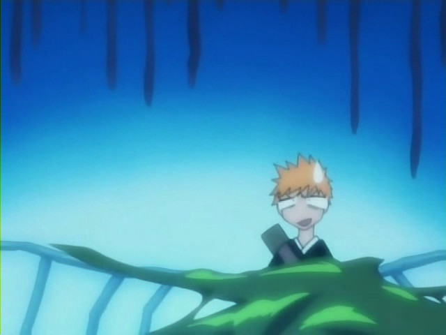 bleach ichigo0243