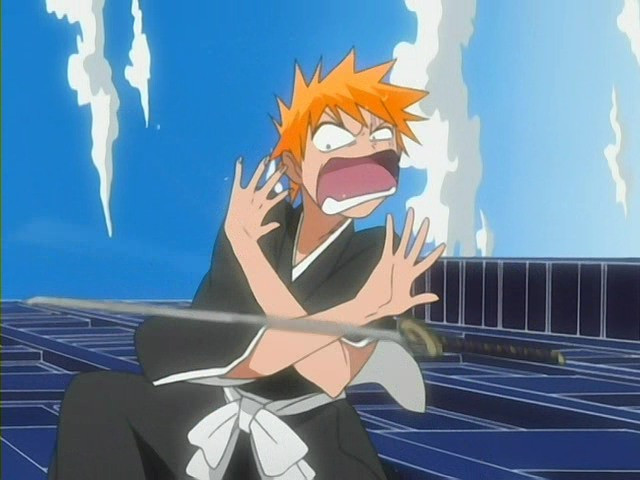 bleach ichigo1023