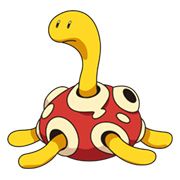 Shuckle62