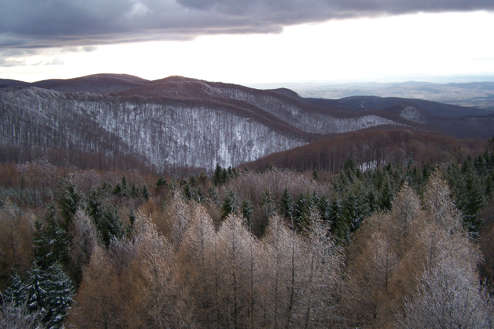 Bükk Barátság-kert 07.02.02 193