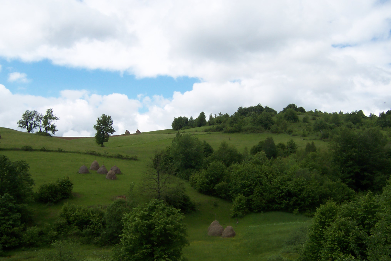 Erdély /Királyerdő/