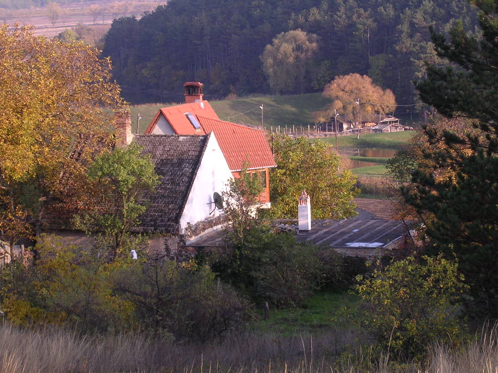 Hegyesd - a dombtetőn1