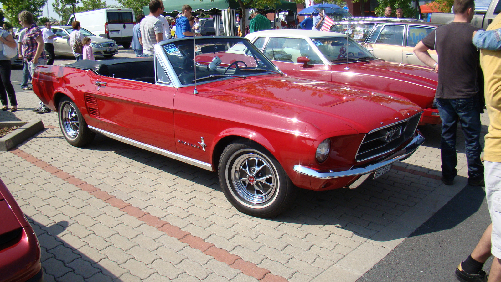 Mustang