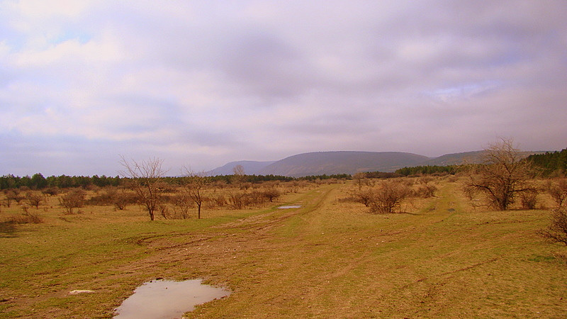 fotók 2009.03.30. 156