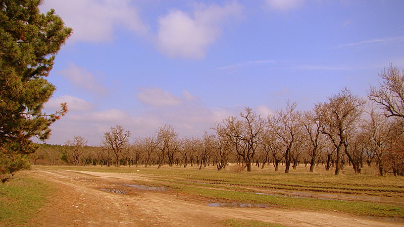 fotók 2009.03.30. 159