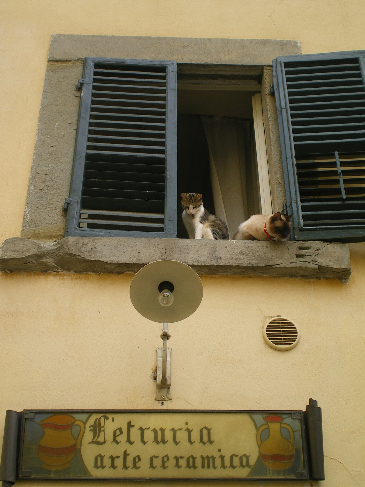 Cortona