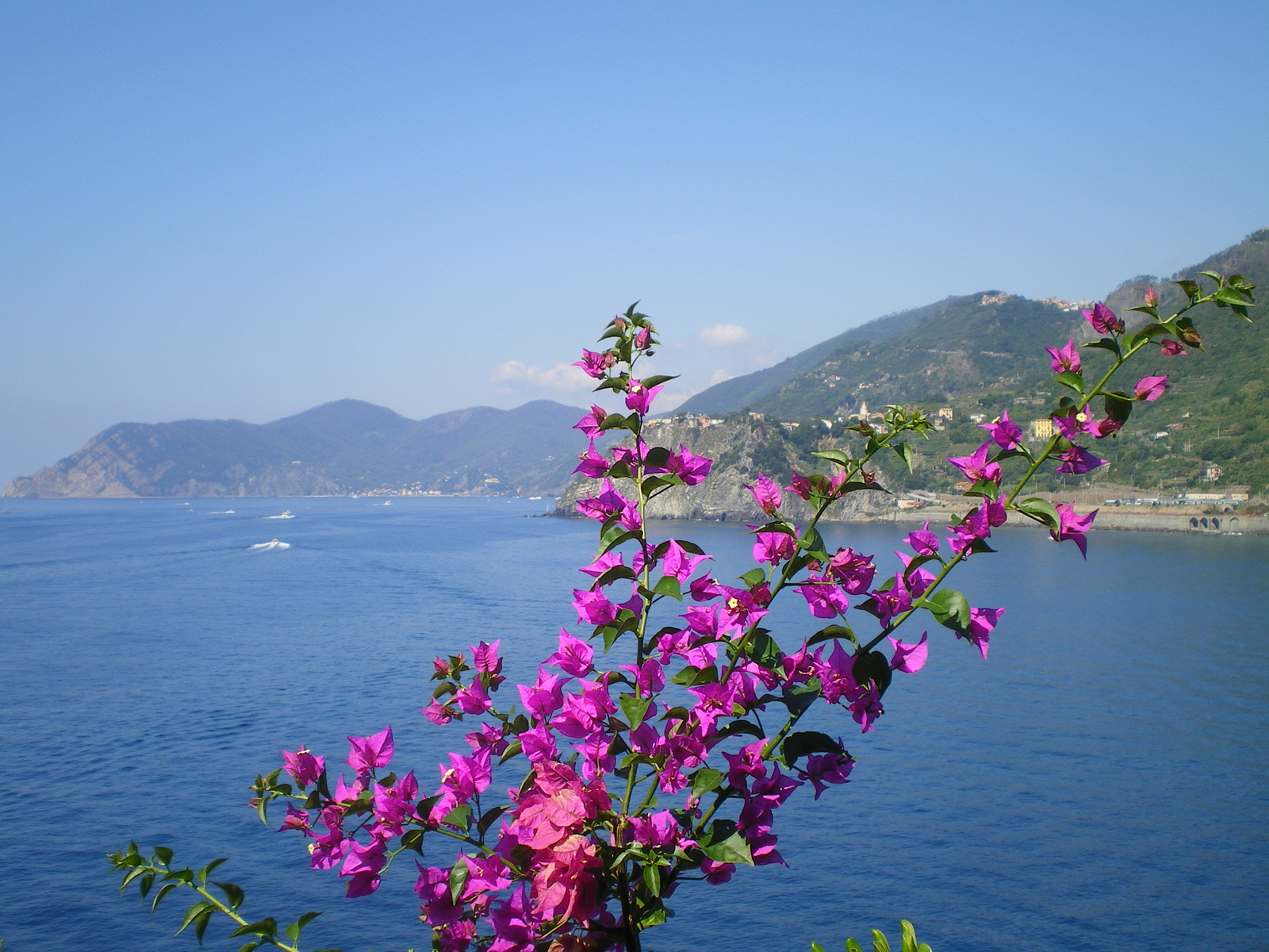 Corniglia felé