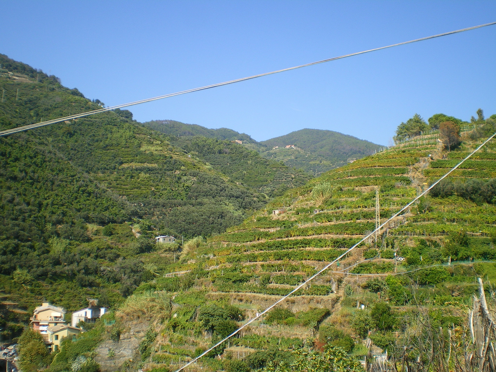 Cinque Terre