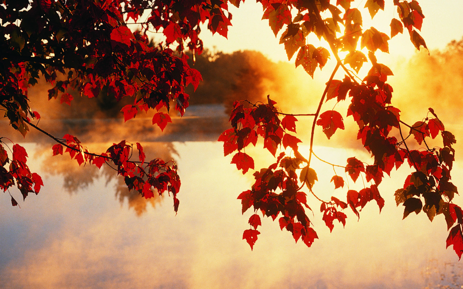 autumn-wallpaper-1920x1200-0912063 [DesktopNexus.com]