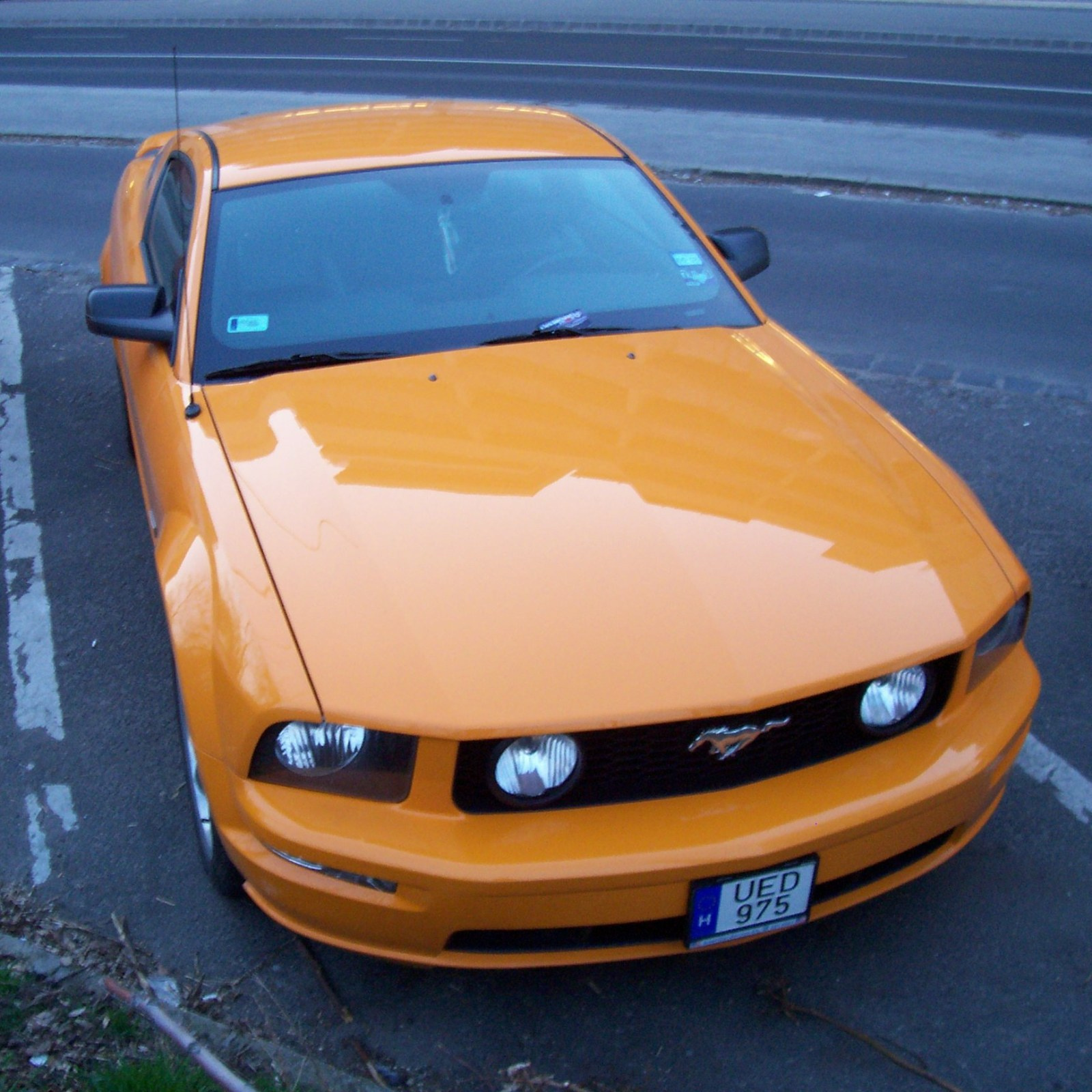 Ford Mustang GT (1)