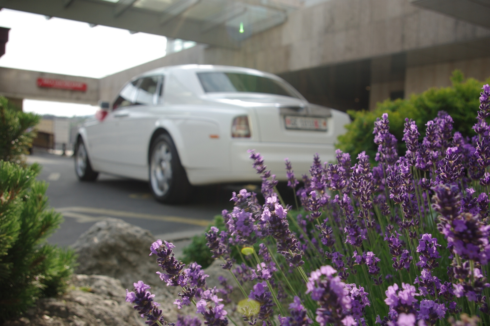 Rolls Royce Phantom (9)