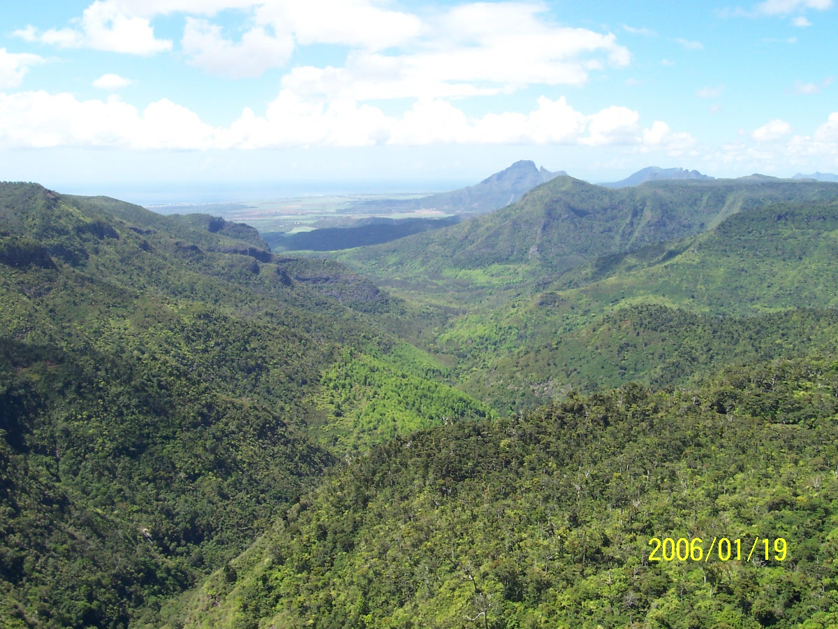 Mauritius - Zöld-ségek