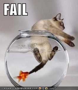 funny-picture-cat-fail