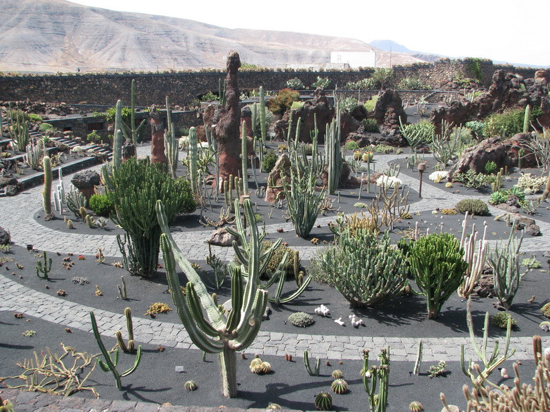 Jardín de Cactus[055] resize