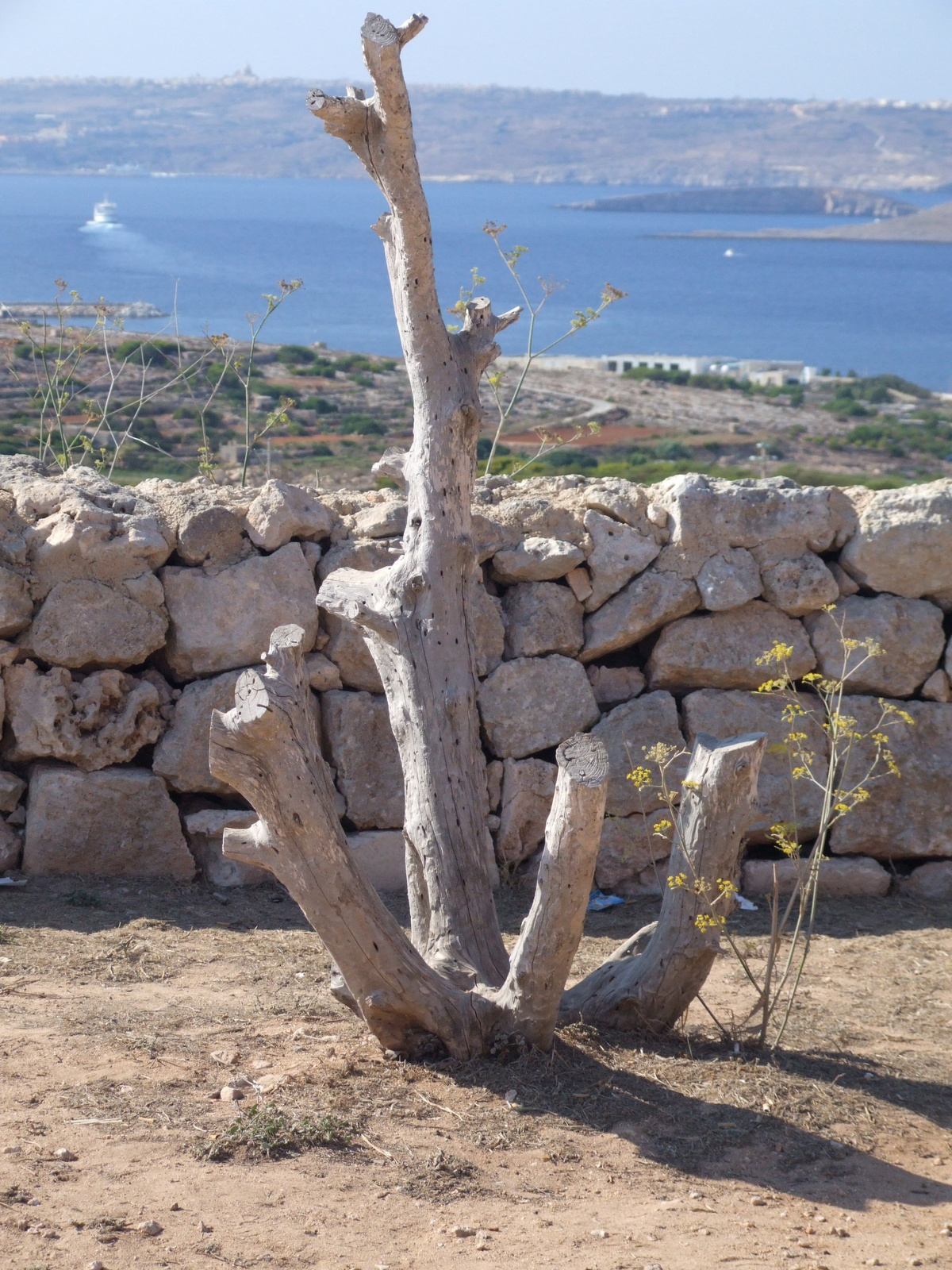 Kilatas a Voros toronybol Gozo fele