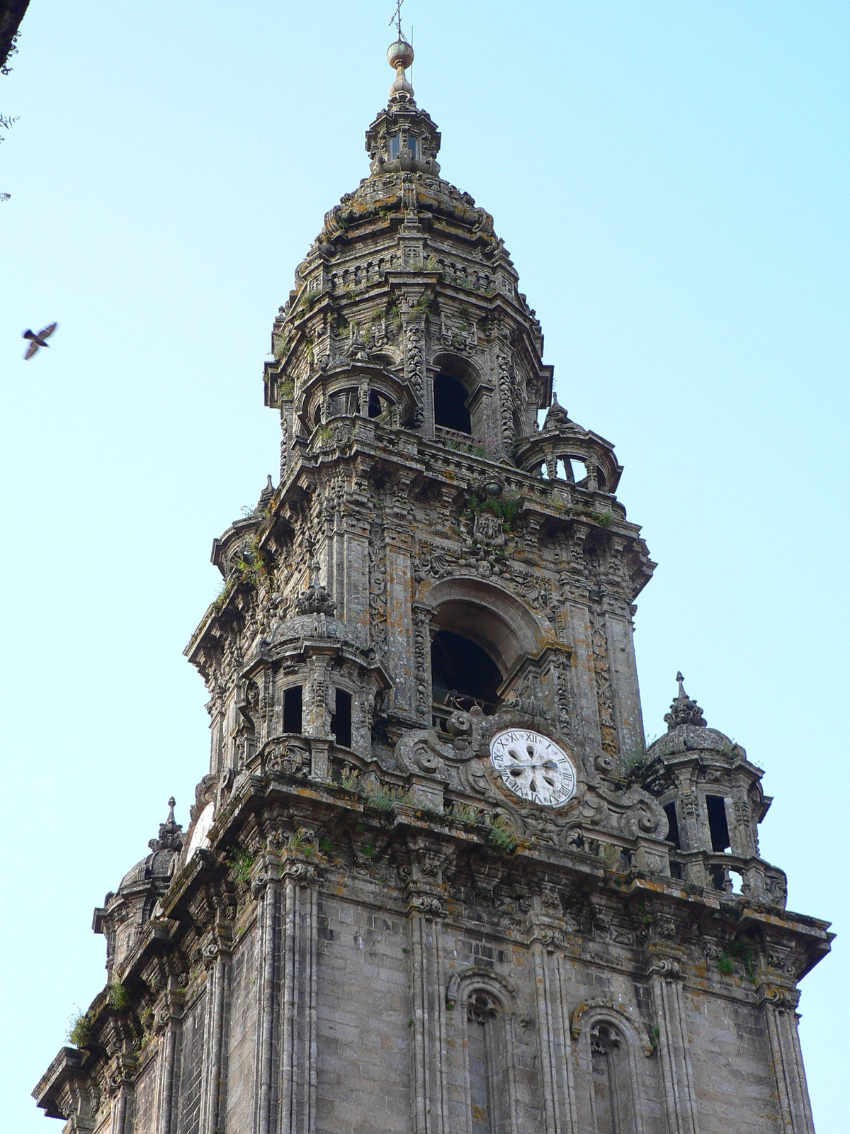 18 Santiago de Compostella (59)