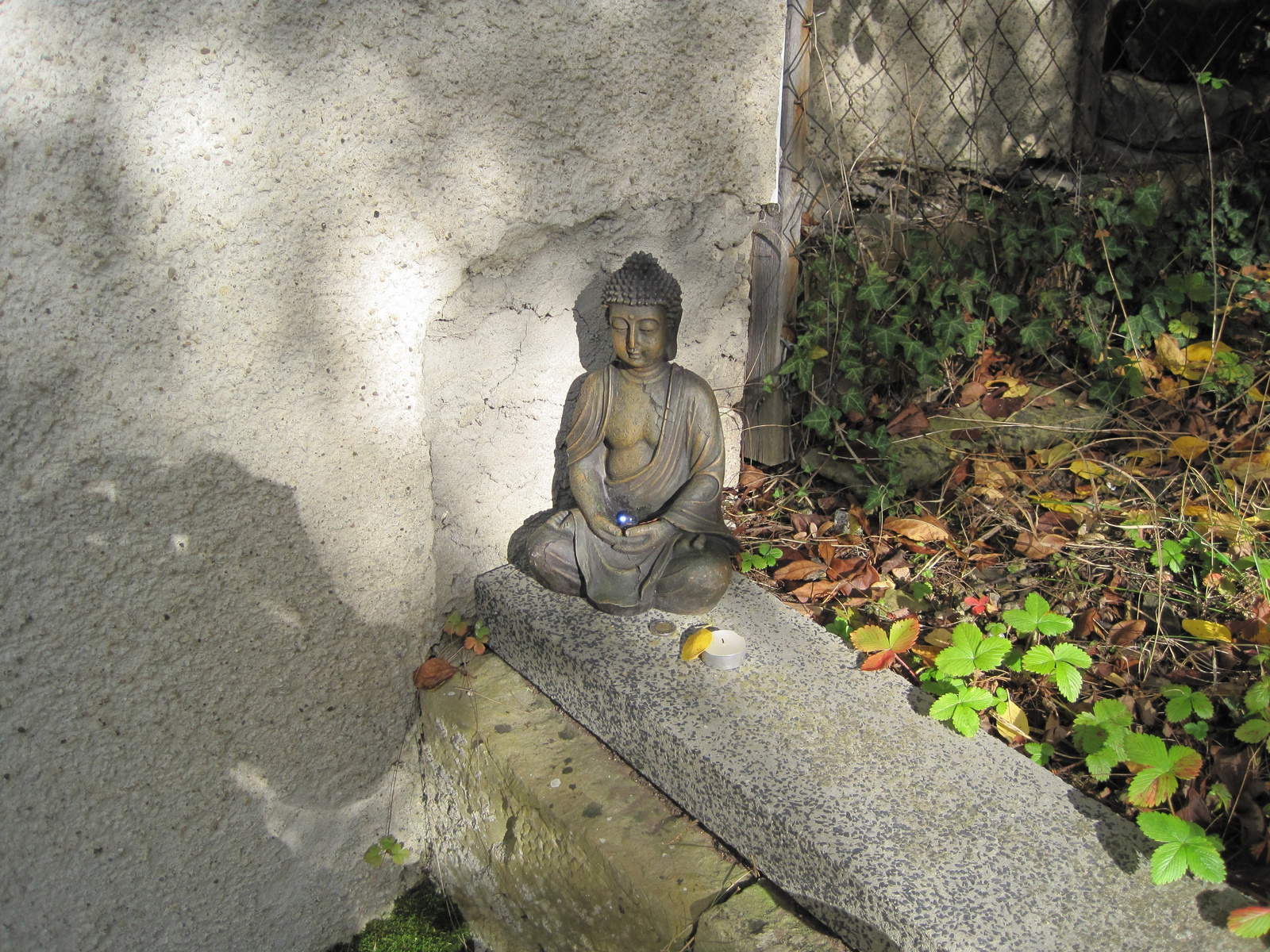 45-buddha02