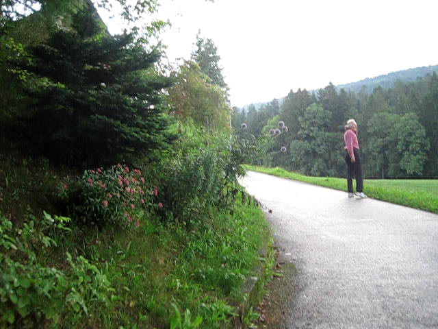 schwarzwald 2010 aug7