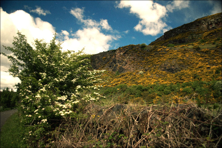 Holyrood Park Scenery in Spring