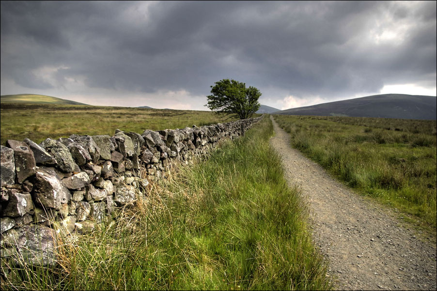 Wall With Road