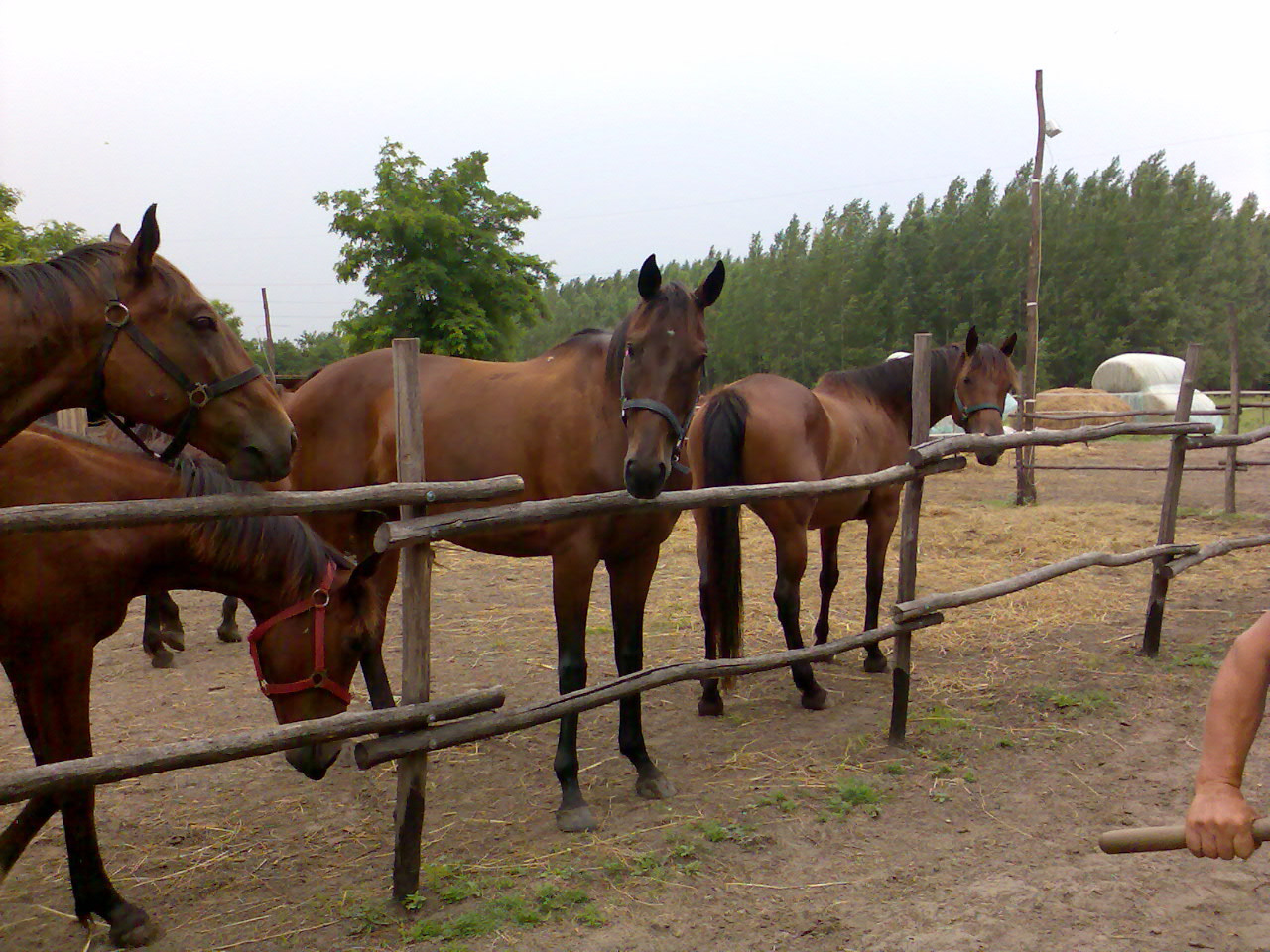 201007 Tábor076