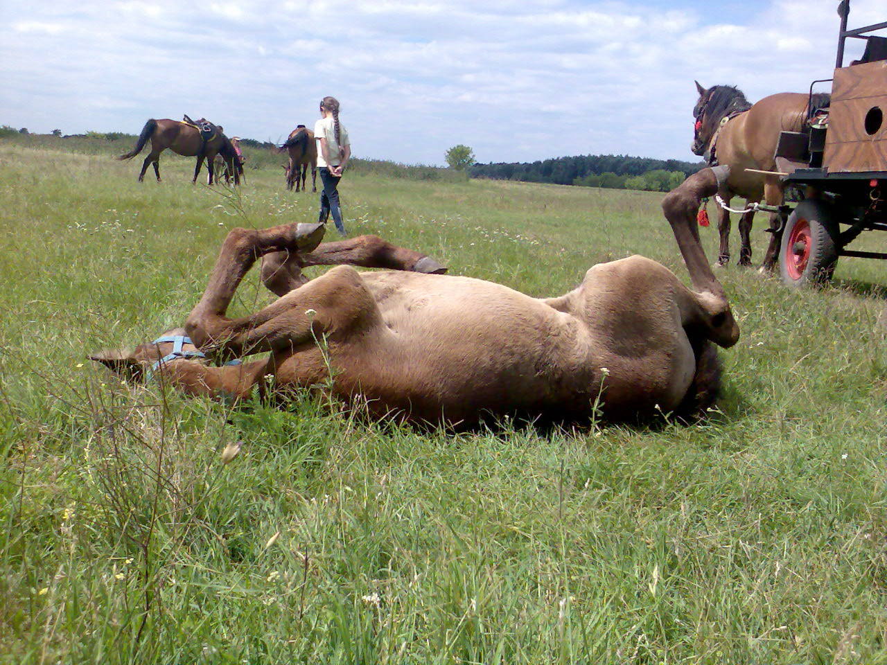 201007 Tábor193