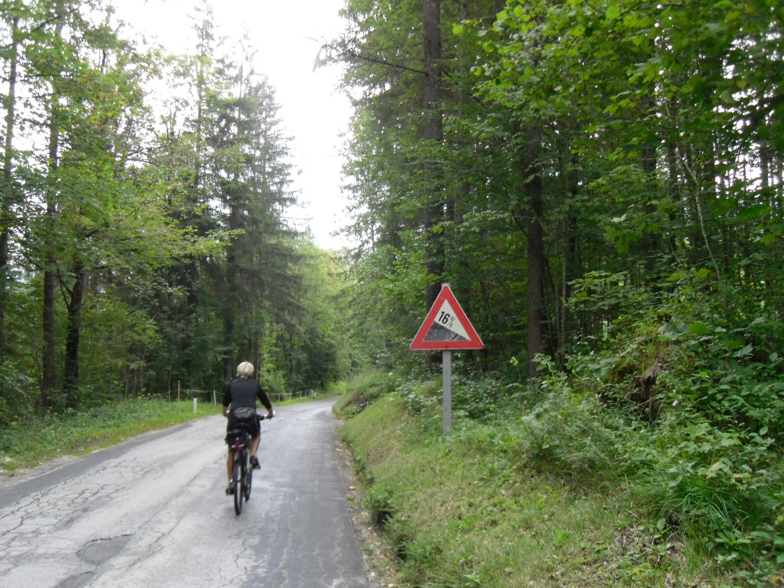 Hallstatt és környéke (80)